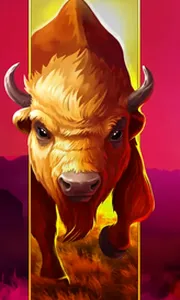 Big Wild Buffalo